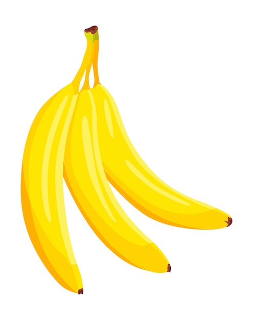 Tropische bananen groeien bos rijp fruit Vector geïsoleerd ontwerpelement Vers natuurlijk voedsel