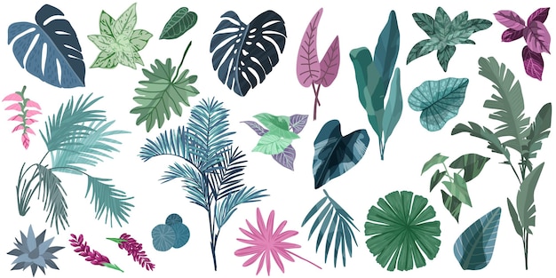 Vector tropische bladeren collectie hand getekende vector set