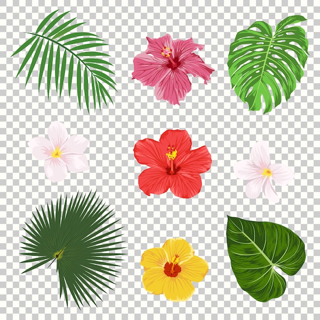 tropische bladeren en bloemen icon set geïsoleerd op transparantie raster achtergrond. Palm, bananenblad, hibiscus en plumeria bloemen. Ontwerpsjablonen Jungle Tree. Botanische en bloemencollectie