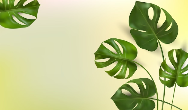 tropische bladeren op een gele achtergrond, tropische gebladertemonstera.