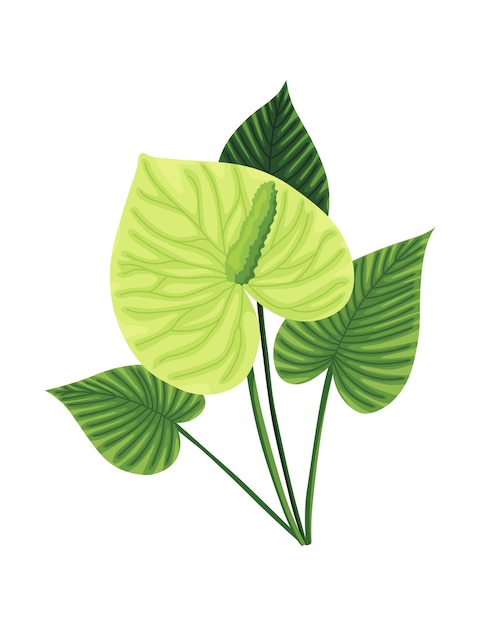 Tropische bladeren plant. Exotisch blad. Groene decoratieve jungleplant. Vector hand getekend botanisch grafisch element.