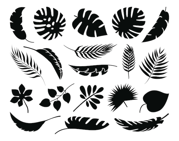 Tropische bladeren set Collectie palmbladeren silhouetten Jungle exotische planten blad