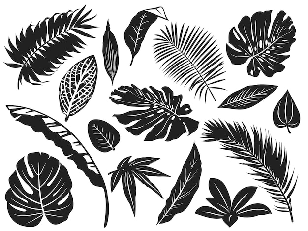 Tropische bladeren silhouet. Palmboomblad, kokospalmen en monstera bladeren zwarte silhouetten illustratie set.