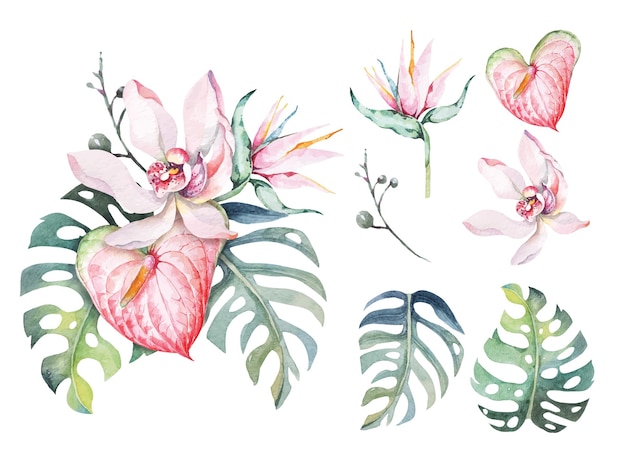 Tropische bloem aquarel. Samenstelling van orchidee, anthurium, monstera bladeren. Aloha bloem in de zomer.