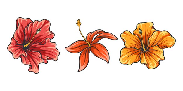 Vector tropische bloemen aloha bloemillustratie