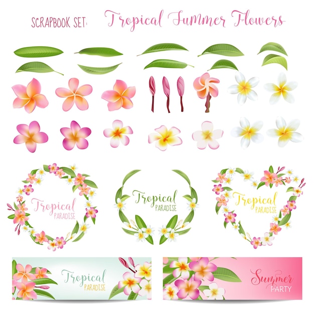 Tropische bloemen en bladeren instellen