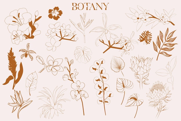 Tropische bloemen en plantencollectie in schetsstijl Bewerkbare vectorillustratie