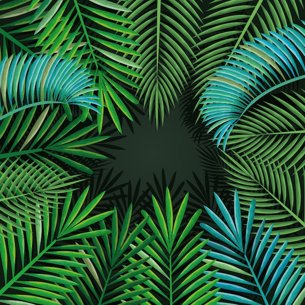 Tropische en exotische palmen bladeren