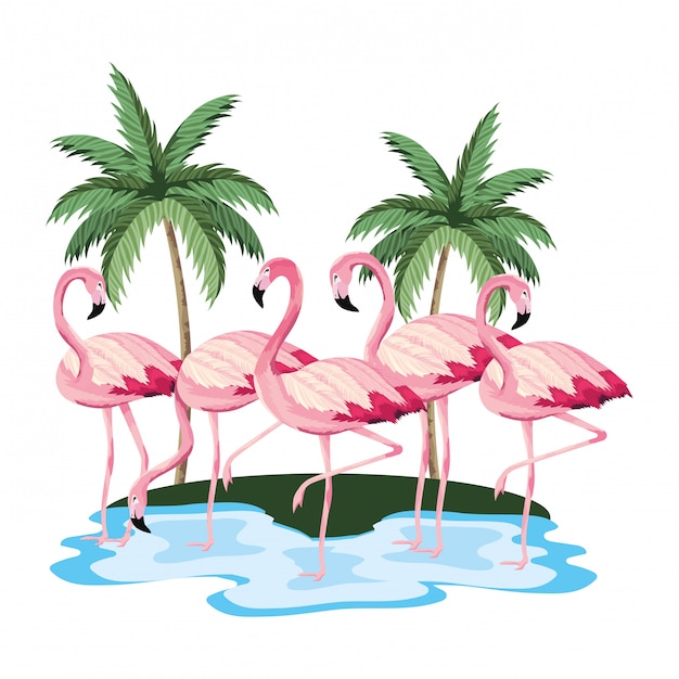 Tropische flamingo's cartoon