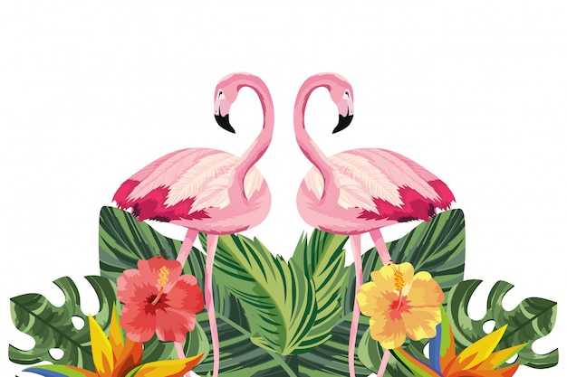 Vector tropische flamingo's cartoon