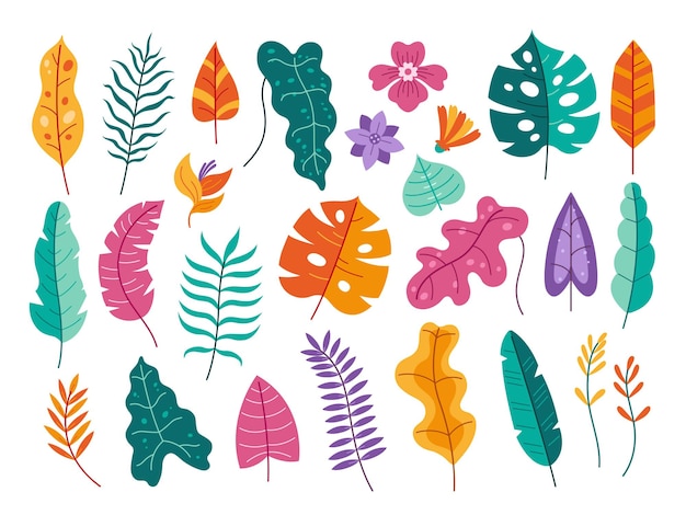 Tropische flora-elementen Bladeren en bloemen van tropische planten geïsoleerde platte vectorillustratieset Kleurrijk botanisch element bos of Hawaiiaans gebladerte van verschillende vormelementen