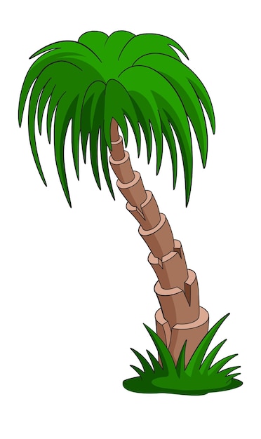 Tropische jungleboom met lange groene bladeren. Palm icoon