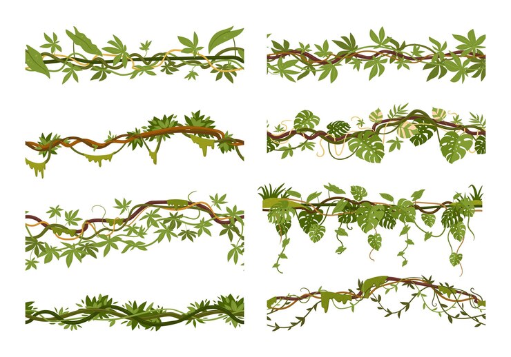 Vector tropische klimplant grenzen cartoon jungle klimmen liaan planten exotische klimplant met mos regenwoud liaan naadloze wijnstokken vector illustratie set