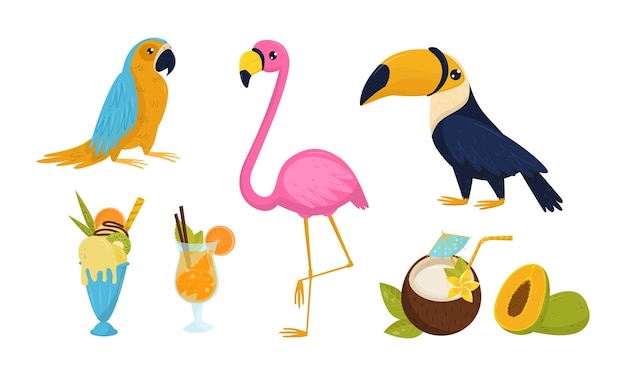 Tropische landen Exotische symbolen Vector Set Jungle Concept Kleurrijke cocktails Tekens en Tropische vogels Collectie