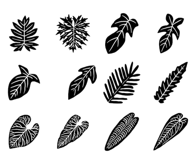 Vector tropische plant blad silhouet pictogram