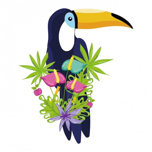 Vector tropische vogel tucano cartoon