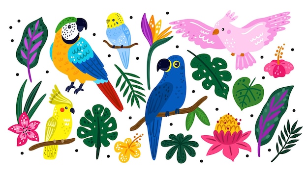 Tropische vogels en planten Caribische dieren in het wild Regenwoud exotische bloemen en bladeren Jungle dieren Helder papegaaien op takken Regenwoude natuur Vector Hawaiiaanse zomer elementen set