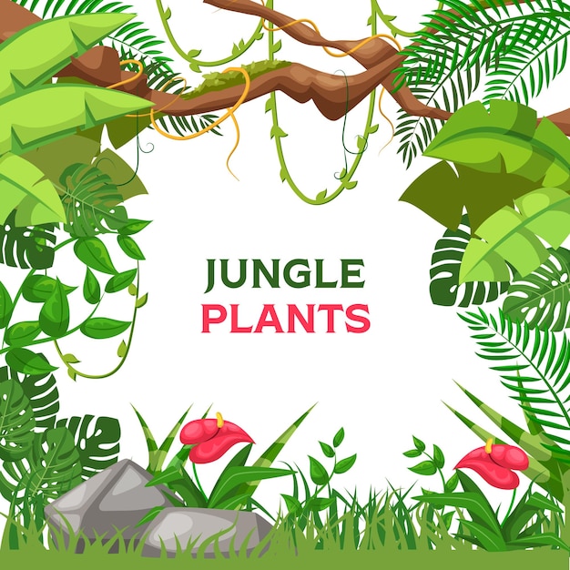 Tropische zomer achtergrond met jungle planten Liana takken frames en regenwoud tropische bladeren bloemen Jungle liana planten voor spandoek poster uitnodiging groet sjabloon vectorillustratie