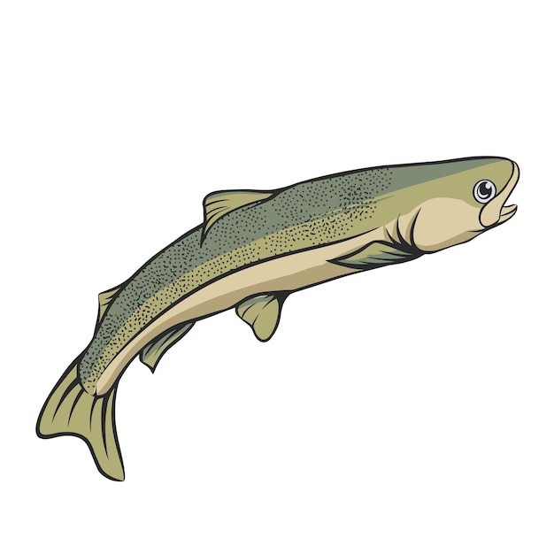 Vector trout fish vector illustration editable separated layers