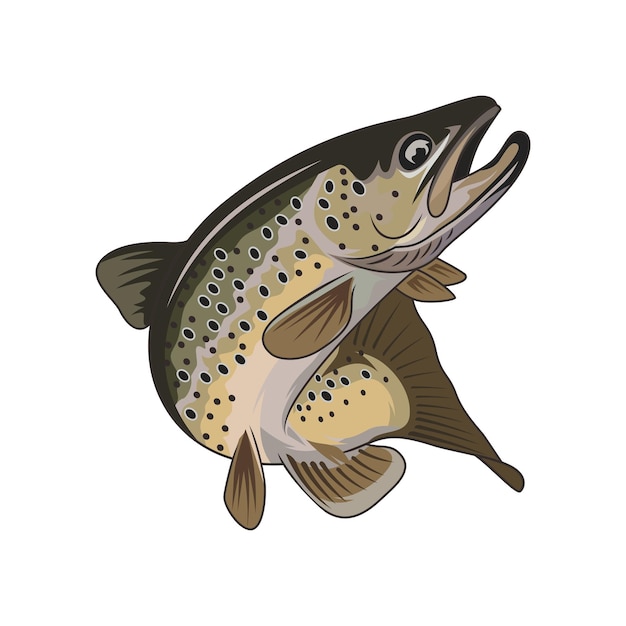 trout fishing logo vector illustration t shirt fish that has brown spots on it