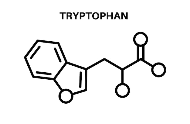 Vector tryptofaan chemische formule