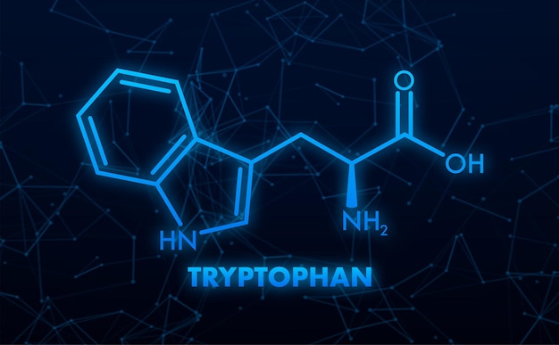 トリプトファン式トリプトファンまたはltryptophantrpwアミノ酸分子