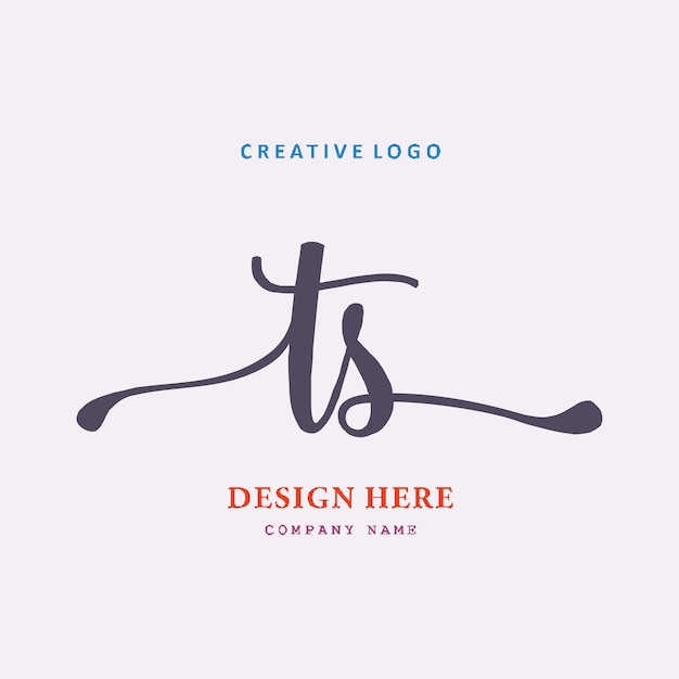 TS lettering logo is simple easy to understand and authoritative