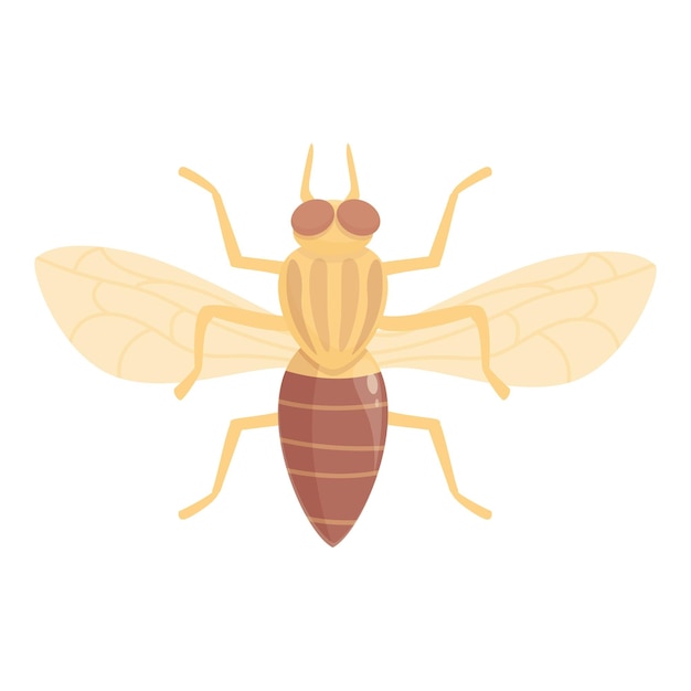 Vector tsetse fly insect icon cartoon vector africa mosquito house wings