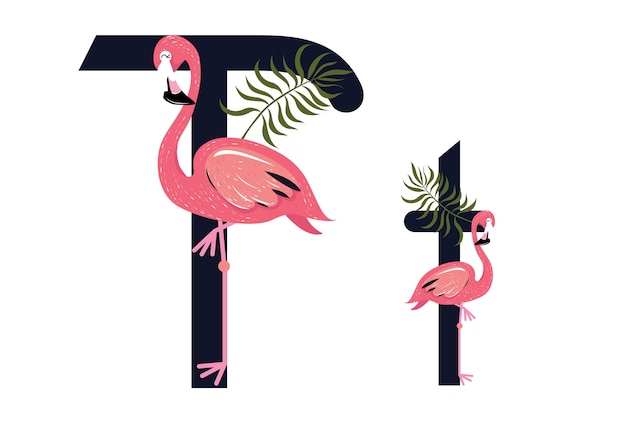 Vector tt flamingos