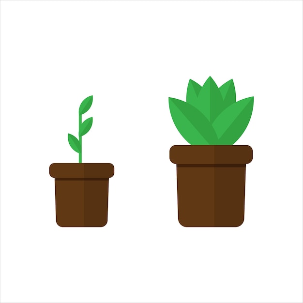 tub and leaf illustration