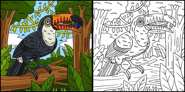 Tucan vogel kleurpagina Kleurige illustratie