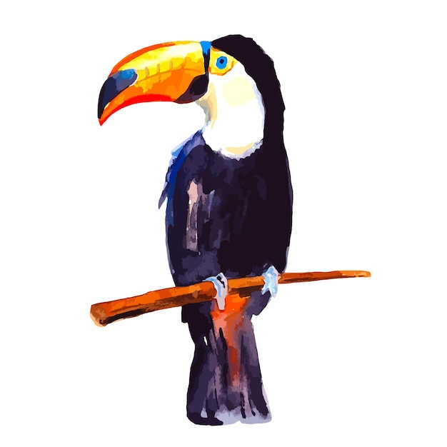 Vector tucano tropische vogel aquarel clipart illustratie