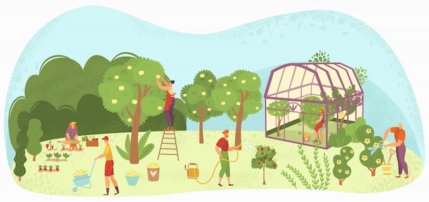 Tuin zorg mensen tuinieren, oogsten en verzorgen van bomen, planten in plant-house en bloemen tuinlieden illustratie.