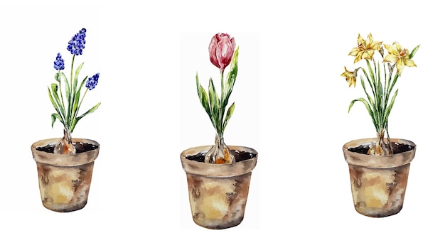 Tuinieren bloemen illustratie bloeiende bloemen kunnen mand pot