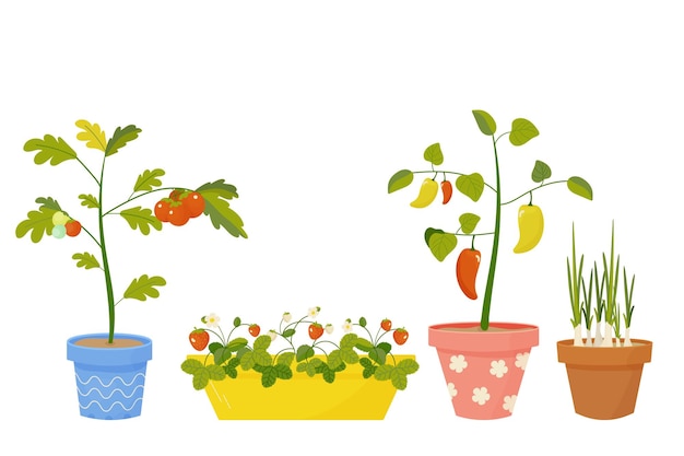 Vector tuinieren op het balkon tomaten aardbeien peper en ui in pot vector illustratie op