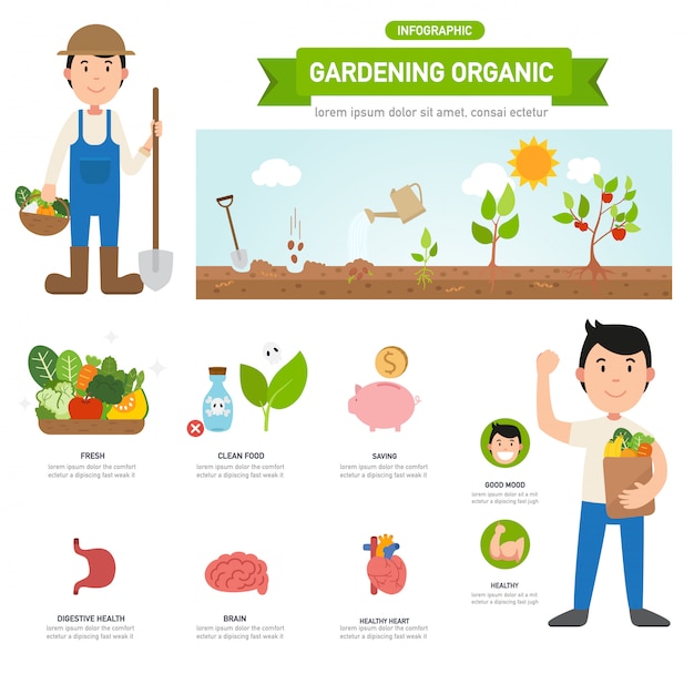 Tuinieren organische infographic, illustratie