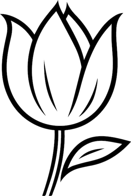 Tulip Black and White Illustration