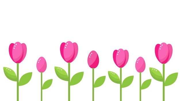 Vector tulip border