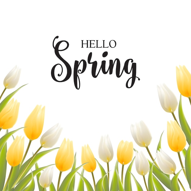 Вектор Букет тюльпанов на белом фоне с пользовательским текстом hello spring. векторная иллюстрация.