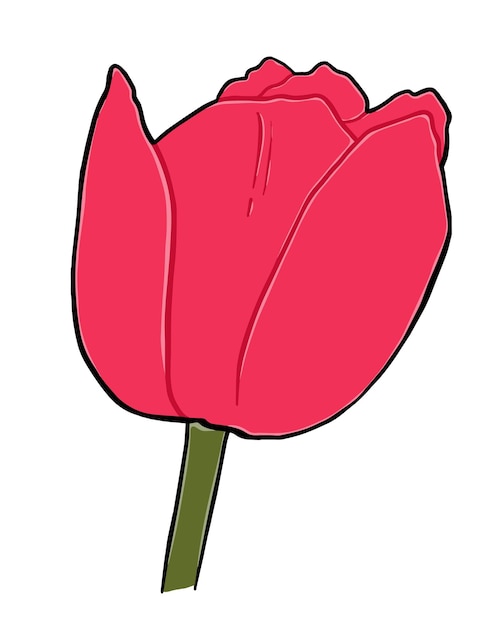 Tulip bud with stem and leaves flower doodle linear