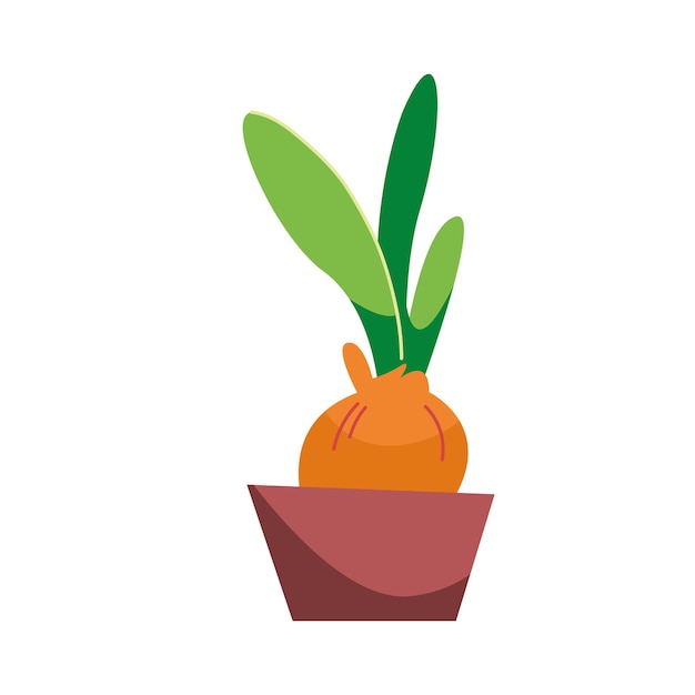 Vector tulip bulb in a pot gardening in the spring vector illustration in cartoon style isolated clipart