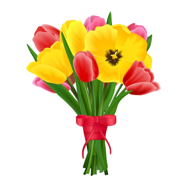 Vector tulip flower bouquet