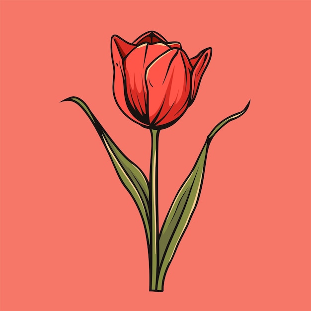 Tulip flower isolated on red background Hand drawn vector illustration