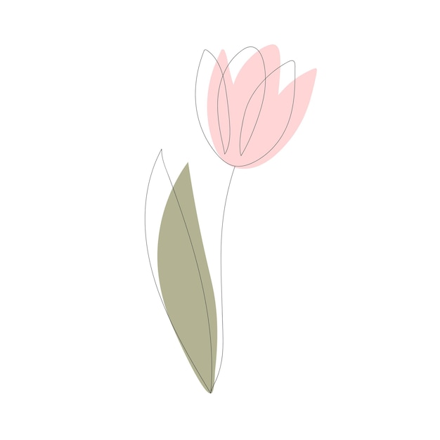 Tulip flower in one line with colored spots