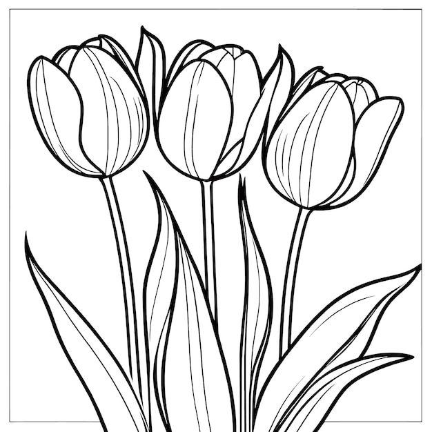 Tulip flower outline digital coloring page for kids and adults