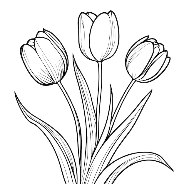 Tulip flower outline digital coloring page for kids and adults