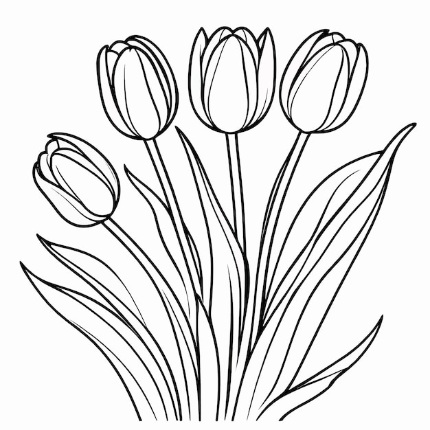 Vector tulip flower outline digital coloring page for kids and adults