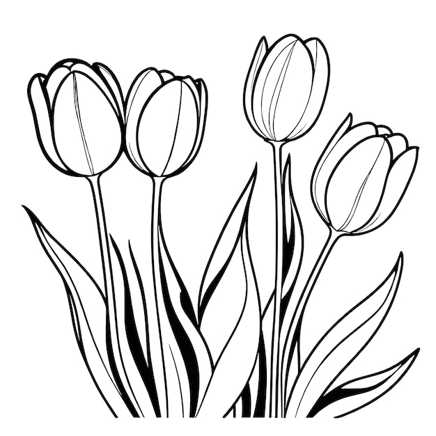 Vector tulip flower outline digital coloring page for kids and adults