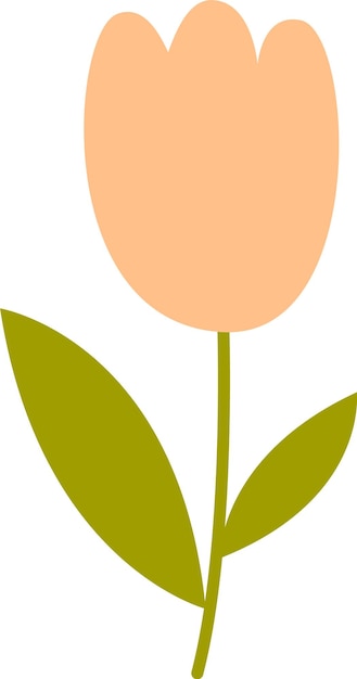 Vector tulip flower plant