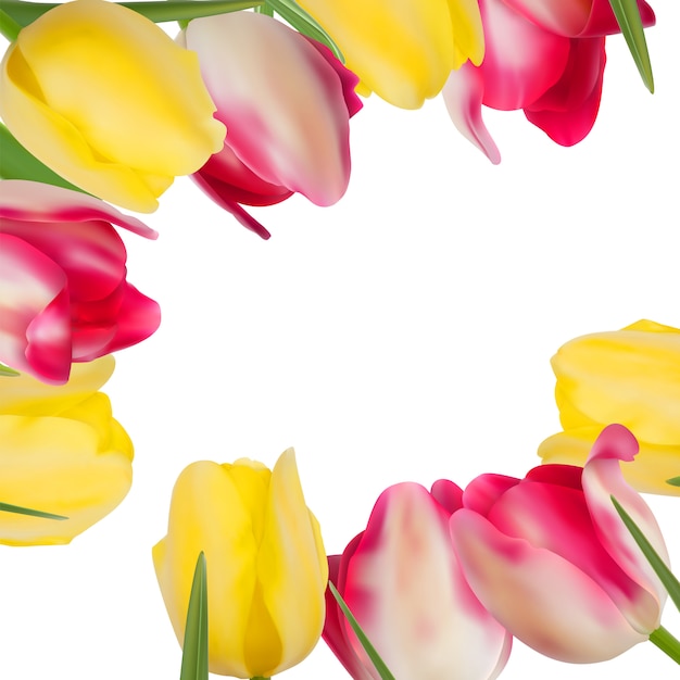 Vector tulip flowers forming with copy space.